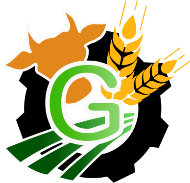 Franz Gstöttenmair Logo